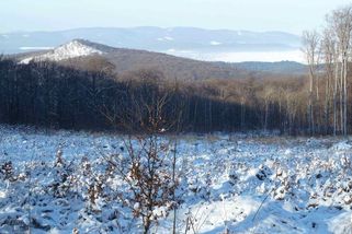 V pohoří Tribeč mizí lidé beze stopy. Slovenský Bermudský trojúhelník děsí i po letech